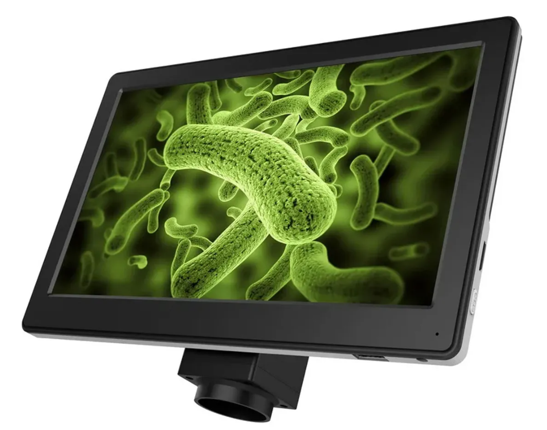 Monitor Outset - Imagem 2